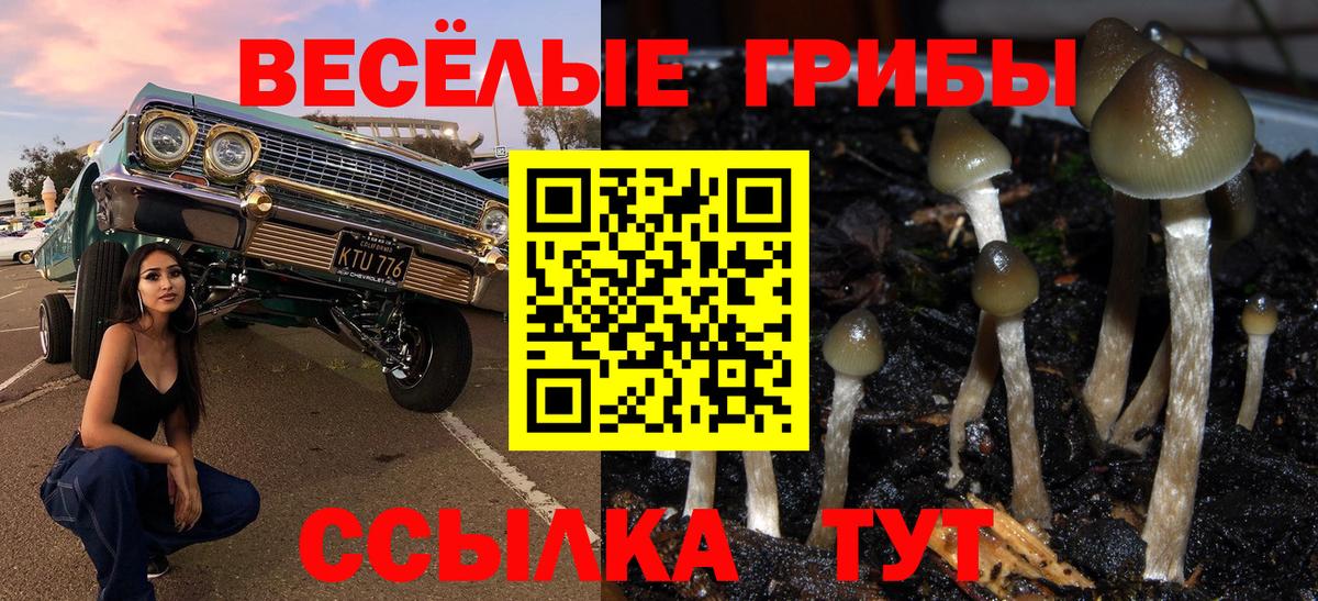 Псилоцибиновые грибы мухоморы  Вход с VPN  Ликино-Дулёво 