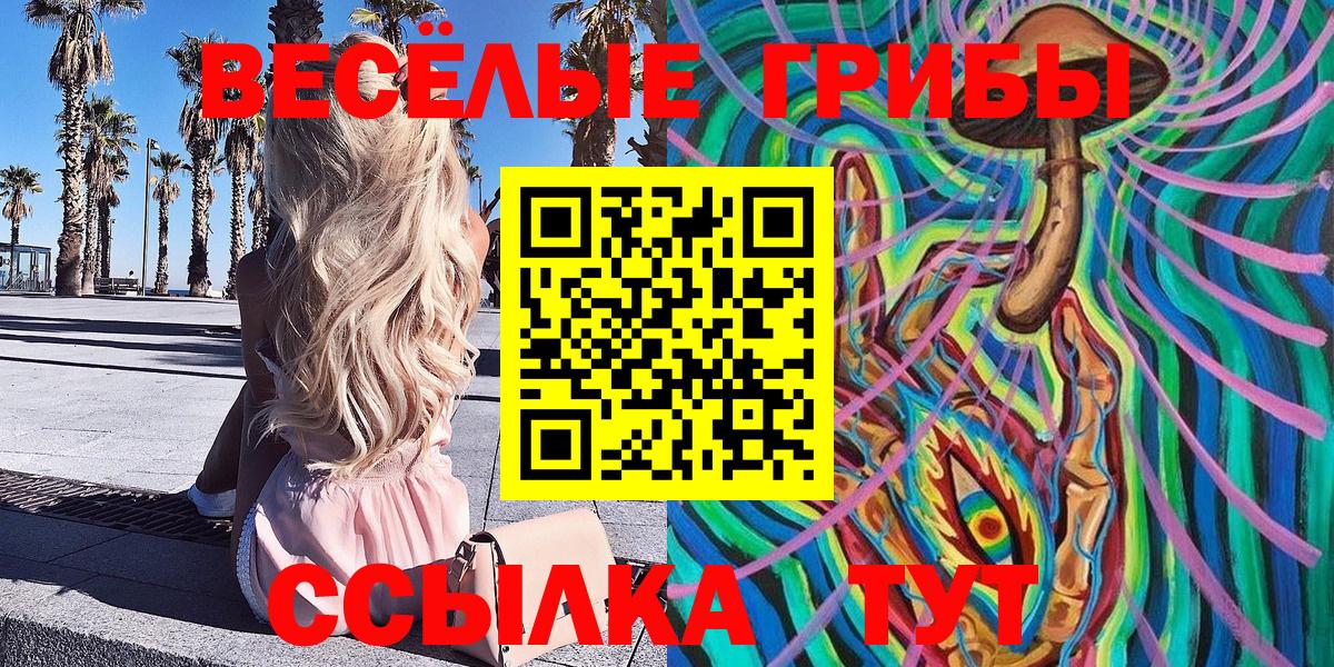 Галлюциногенные грибы Psilocybe Ликино-Дулёво